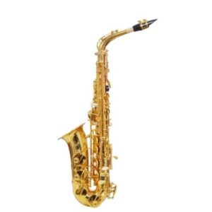 Brass Alto Saxophone – Imported WAXWING Brand | Premium Musical Instrument with Rich Tone, Smooth Key Action, and Elegant Finish | Perfect for School Bands, Professionals, and Music Enthusiasts