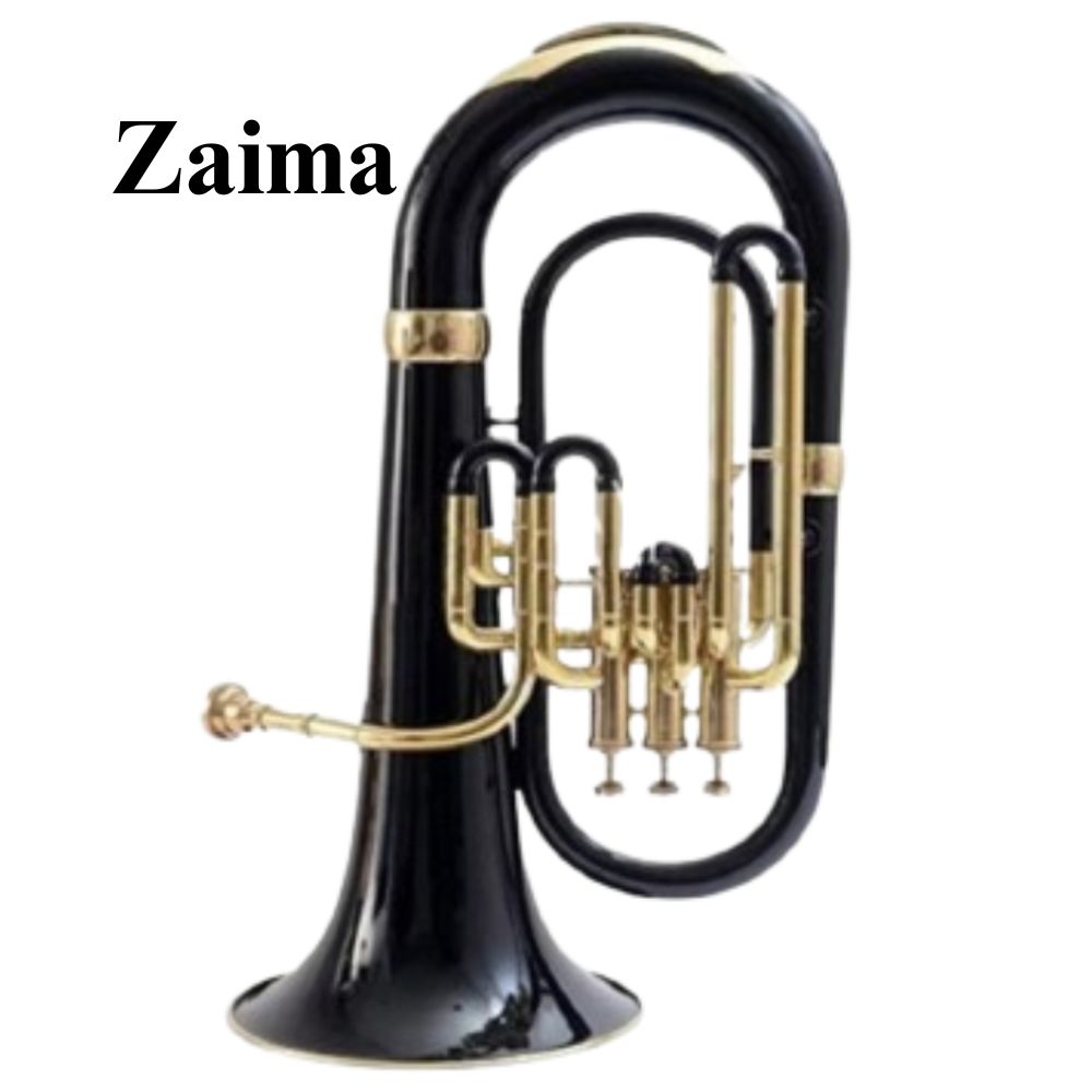 Best Musical Instruments for School Bands, Army Bands, Marching Parades & Music Lovers