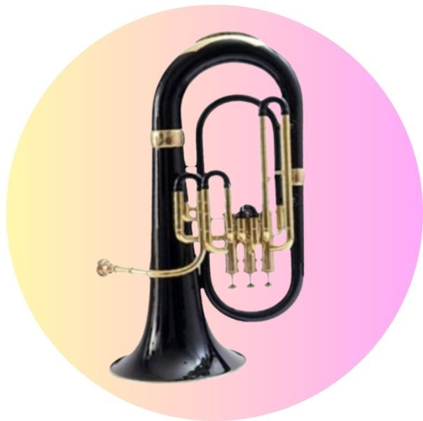 Best Musical Instruments for School Bands, Army Bands, Marching Parades & Music Lovers
